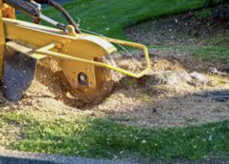 Stump Grinding-Stump Grinding quote template