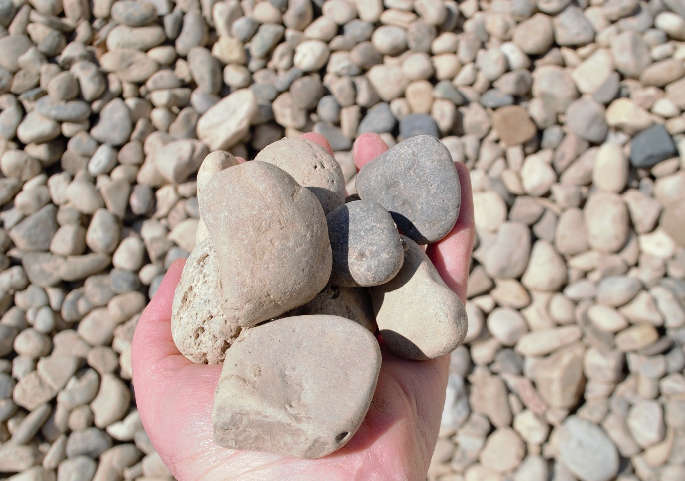 River Rock 1-3"-Pea Gravel w/Flag Stones quote template