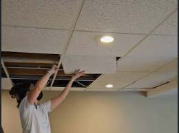 Construction Quote Template - Demo Ceiling