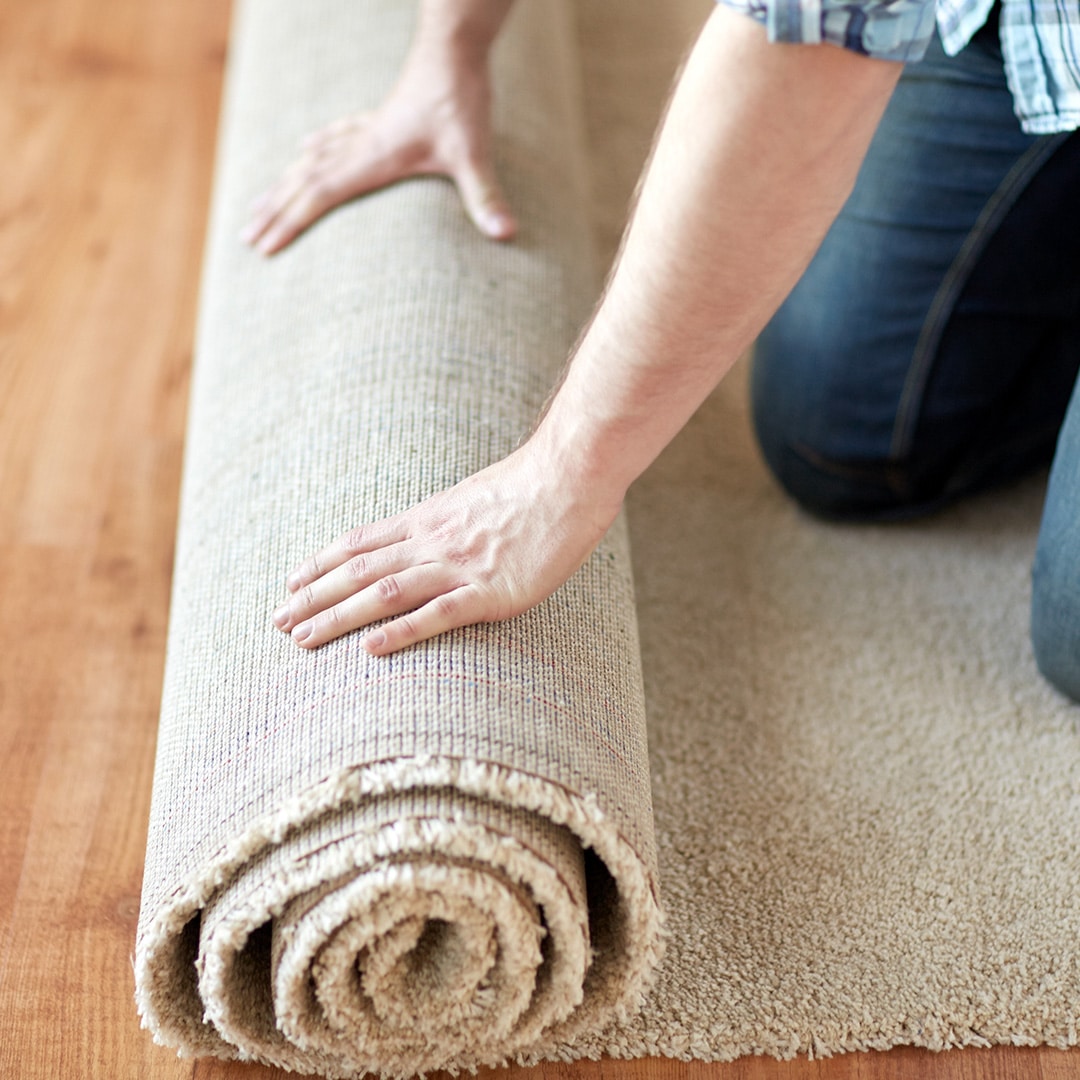 Carpet Removal & Disposal-construction-quote-template