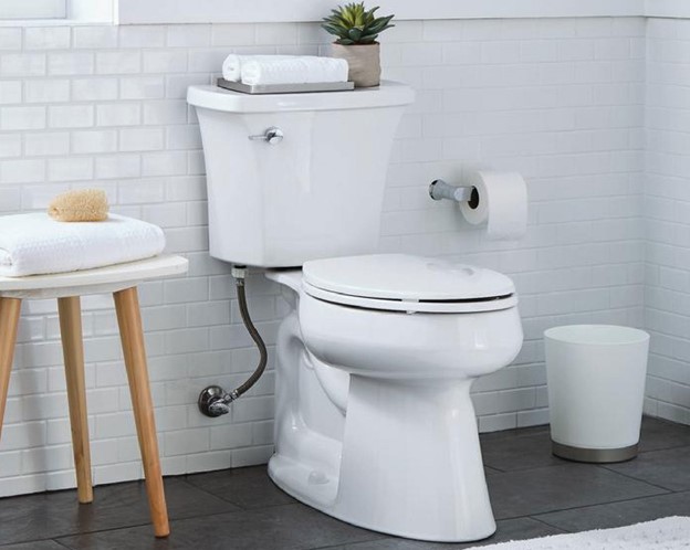 New Toilet & Install-291
